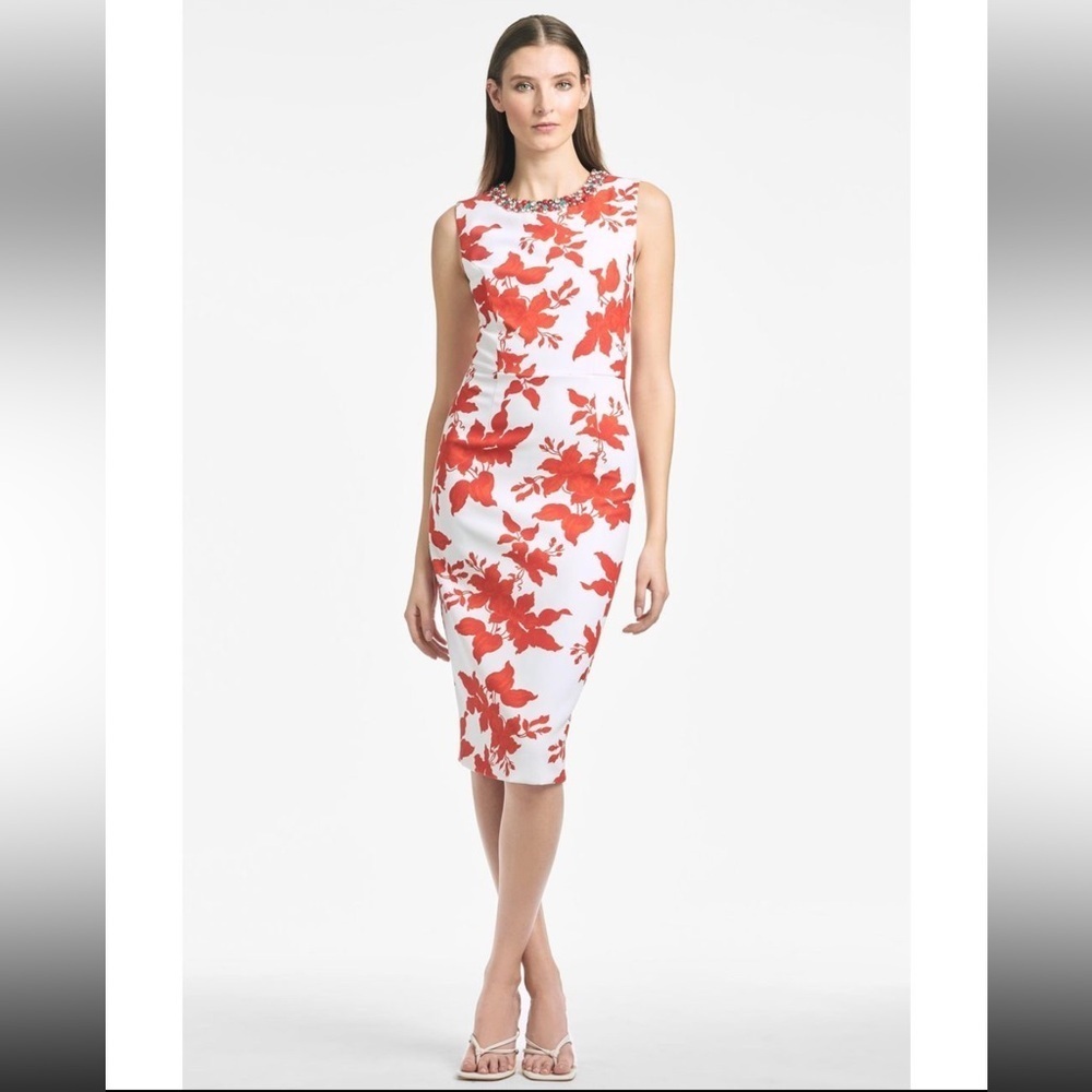 NWT Sachin & Babi Anna Dress